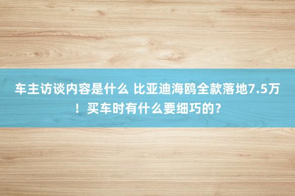 车主访谈内容是什么 比亚迪海鸥全款落地7.5万！买车时有什么要细巧的？