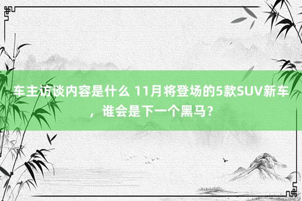 车主访谈内容是什么 11月将登场的5款SUV新车，谁会是下一个黑马？