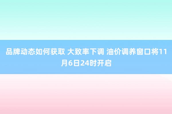 品牌动态如何获取 大致率下调 油价调养窗口将11月6日24时开启