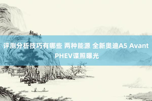 评测分析技巧有哪些 两种能源 全新奥迪A5 Avant PHEV谍照曝光