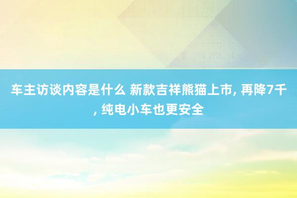 车主访谈内容是什么 新款吉祥熊猫上市, 再降7千, 纯电小车也更安全