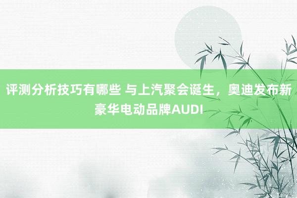 评测分析技巧有哪些 与上汽聚会诞生，奥迪发布新豪华电动品牌AUDI