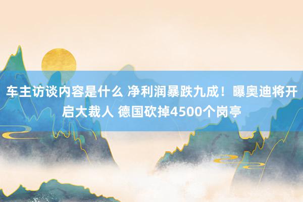 车主访谈内容是什么 净利润暴跌九成！曝奥迪将开启大裁人 德国砍掉4500个岗亭