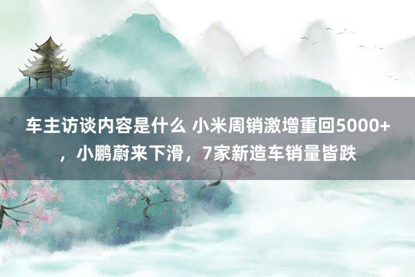 车主访谈内容是什么 小米周销激增重回5000+，小鹏蔚来下滑，7家新造车销量皆跌