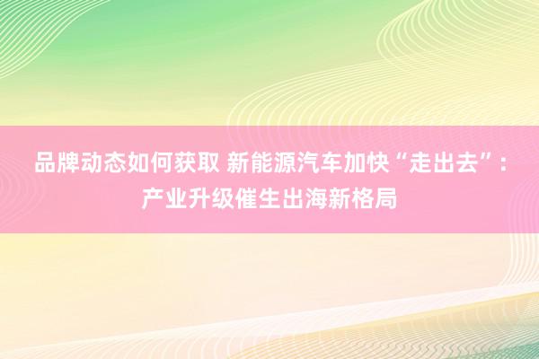 品牌动态如何获取 新能源汽车加快“走出去”：产业升级催生出海新格局