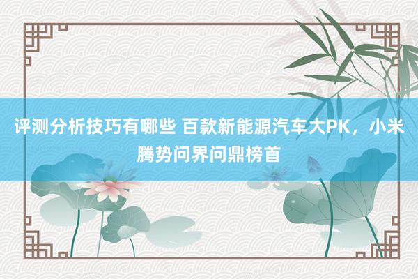 评测分析技巧有哪些 百款新能源汽车大PK，小米腾势问界问鼎榜首