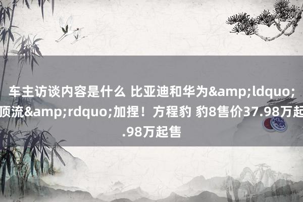 车主访谈内容是什么 比亚迪和华为&ldquo;双顶流&rdquo;加捏！方程豹 豹8售价37.98万起售