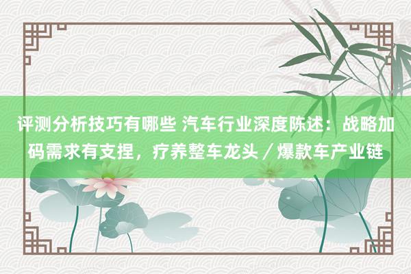 评测分析技巧有哪些 汽车行业深度陈述：战略加码需求有支捏，疗养整车龙头／爆款车产业链