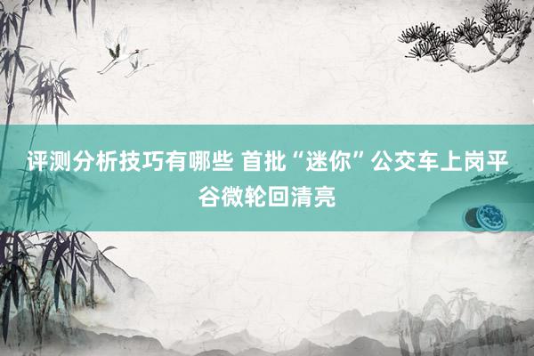 评测分析技巧有哪些 首批“迷你”公交车上岗平谷微轮回清亮