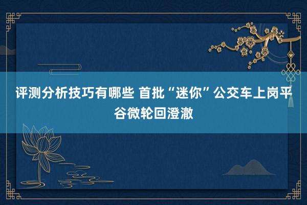 评测分析技巧有哪些 首批“迷你”公交车上岗平谷微轮回澄澈