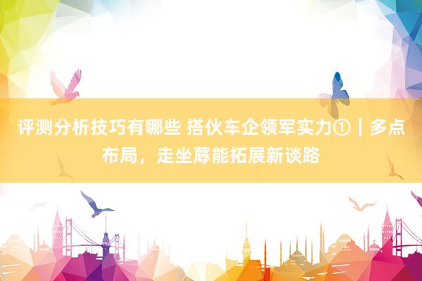 评测分析技巧有哪些 搭伙车企领军实力①｜多点布局，走坐蓐能拓展新谈路