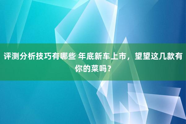 评测分析技巧有哪些 年底新车上市，望望这几款有你的菜吗？