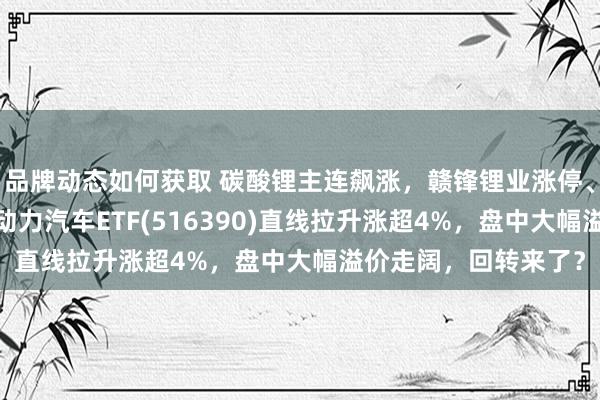 品牌动态如何获取 碳酸锂主连飙涨，赣锋锂业涨停、宁德时期涨3%，新动力汽车ETF(516390)直线拉升涨超4%，盘中大幅溢价走阔，回转来了？