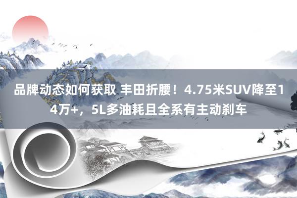 品牌动态如何获取 丰田折腰！4.75米SUV降至14万+，5L多油耗且全系有主动刹车