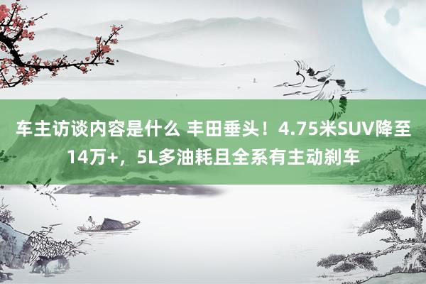 车主访谈内容是什么 丰田垂头！4.75米SUV降至14万+，5L多油耗且全系有主动刹车