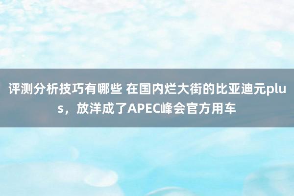 评测分析技巧有哪些 在国内烂大街的比亚迪元plus，放洋成了APEC峰会官方用车