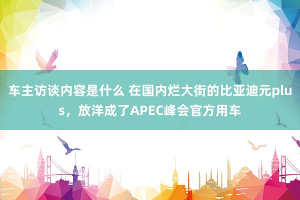 车主访谈内容是什么 在国内烂大街的比亚迪元plus，放洋成了APEC峰会官方用车