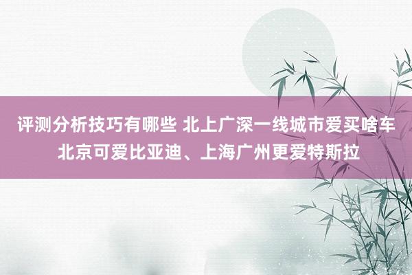 评测分析技巧有哪些 北上广深一线城市爱买啥车 北京可爱比亚迪、上海广州更爱特斯拉