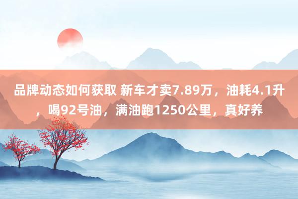 品牌动态如何获取 新车才卖7.89万，油耗4.1升，喝92号油，满油跑1250公里，真好养