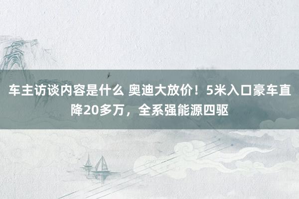 车主访谈内容是什么 奥迪大放价！5米入口豪车直降20多万，全系强能源四驱