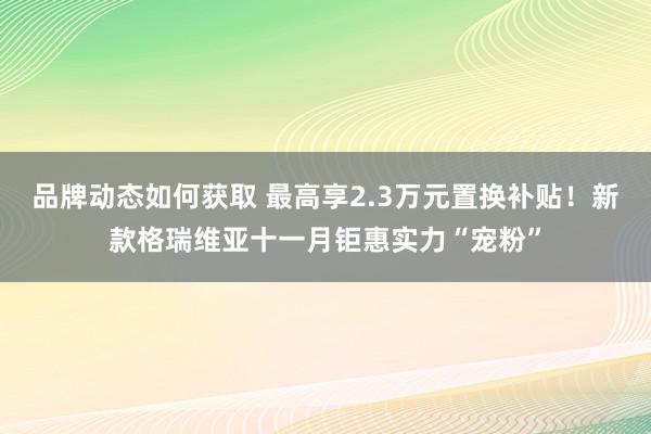 品牌动态如何获取 最高享2.3万元置换补贴！新款格瑞维亚十一月钜惠实力“宠粉”