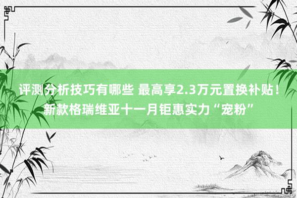 评测分析技巧有哪些 最高享2.3万元置换补贴！新款格瑞维亚十一月钜惠实力“宠粉”