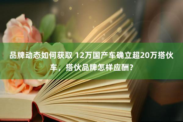 品牌动态如何获取 12万国产车确立超20万搭伙车，搭伙品牌怎样应酬？