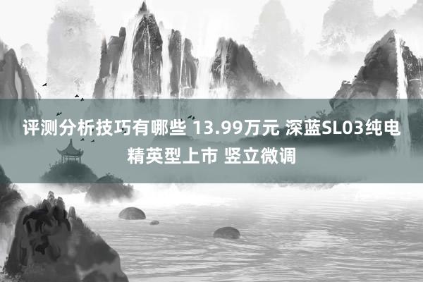 评测分析技巧有哪些 13.99万元 深蓝SL03纯电精英型上市 竖立微调