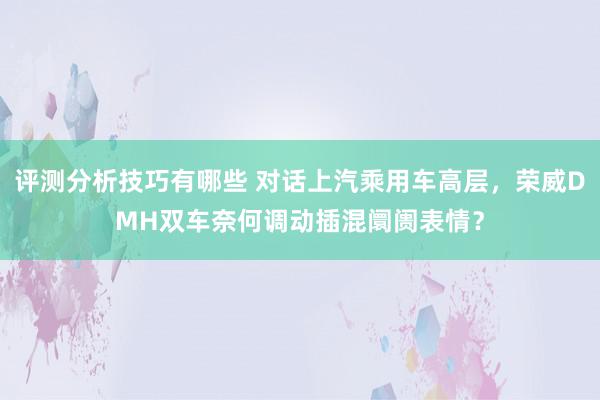 评测分析技巧有哪些 对话上汽乘用车高层，荣威DMH双车奈何调动插混阛阓表情？