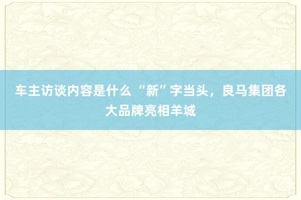 车主访谈内容是什么 “新”字当头，良马集团各大品牌亮相羊城