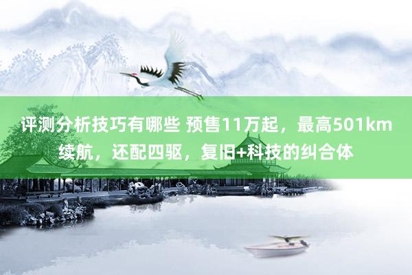 评测分析技巧有哪些 预售11万起，最高501km续航，还配四驱，复旧+科技的纠合体