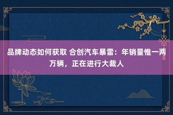 品牌动态如何获取 合创汽车暴雷：年销量惟一两万辆，正在进行大裁人