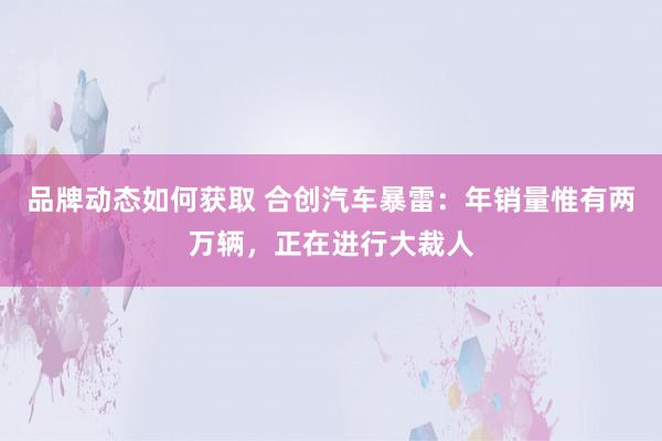 品牌动态如何获取 合创汽车暴雷：年销量惟有两万辆，正在进行大裁人