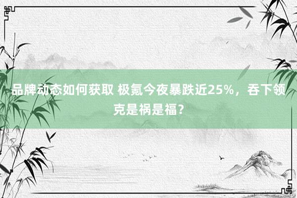 品牌动态如何获取 极氪今夜暴跌近25%，吞下领克是祸是福？