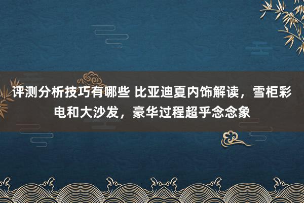 评测分析技巧有哪些 比亚迪夏内饰解读，雪柜彩电和大沙发，豪华过程超乎念念象