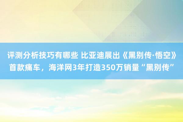 评测分析技巧有哪些 比亚迪展出《黑别传·悟空》首款痛车，海洋网3年打造350万销量“黑别传”