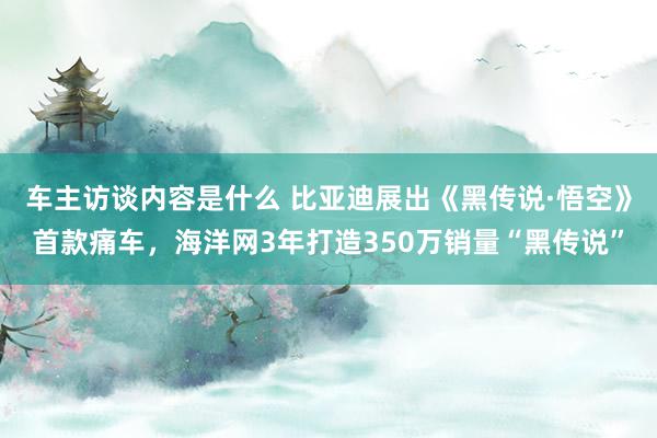 车主访谈内容是什么 比亚迪展出《黑传说·悟空》首款痛车，海洋网3年打造350万销量“黑传说”