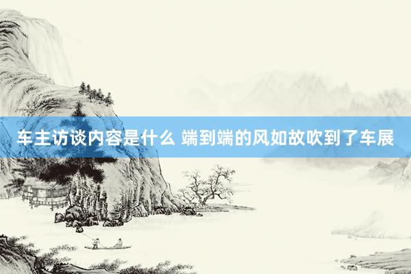 车主访谈内容是什么 端到端的风如故吹到了车展