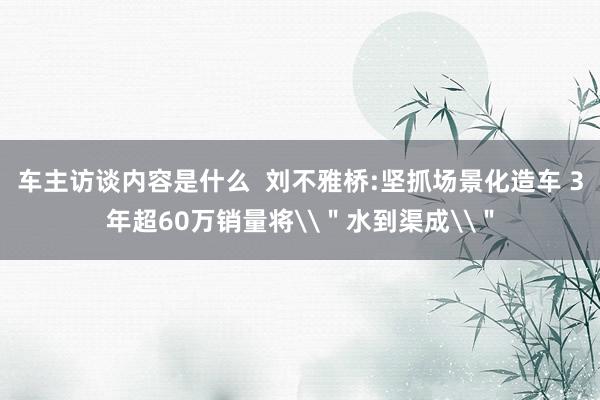 车主访谈内容是什么  刘不雅桥:坚抓场景化造车 3年超60万销量将\＂水到渠成\＂