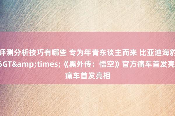 评测分析技巧有哪些 专为年青东谈主而来 比亚迪海豹06GT&times;《黑外传：悟空》官方痛车首发亮相