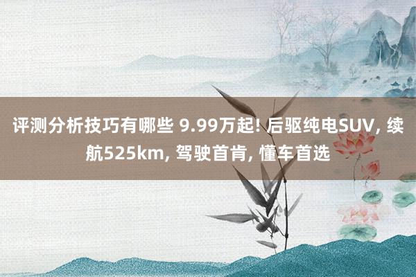 评测分析技巧有哪些 9.99万起! 后驱纯电SUV, 续航525km, 驾驶首肯, 懂车首选