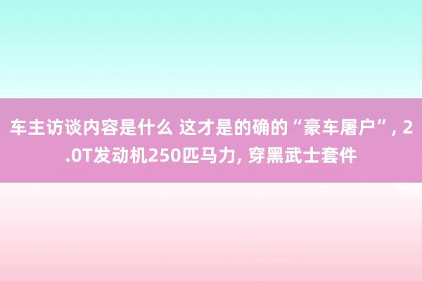 车主访谈内容是什么 这才是的确的“豪车屠户”, 2.0T发动机250匹马力, 穿黑武士套件