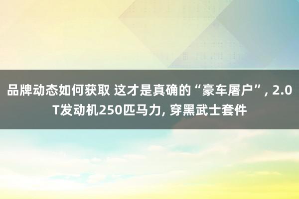 品牌动态如何获取 这才是真确的“豪车屠户”, 2.0T发动机250匹马力, 穿黑武士套件