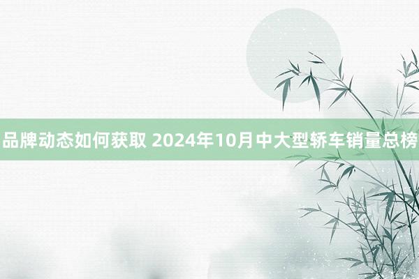 品牌动态如何获取 2024年10月中大型轿车销量总榜