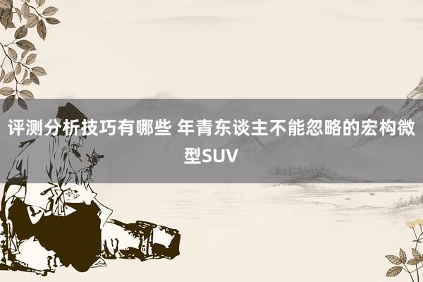 评测分析技巧有哪些 年青东谈主不能忽略的宏构微型SUV