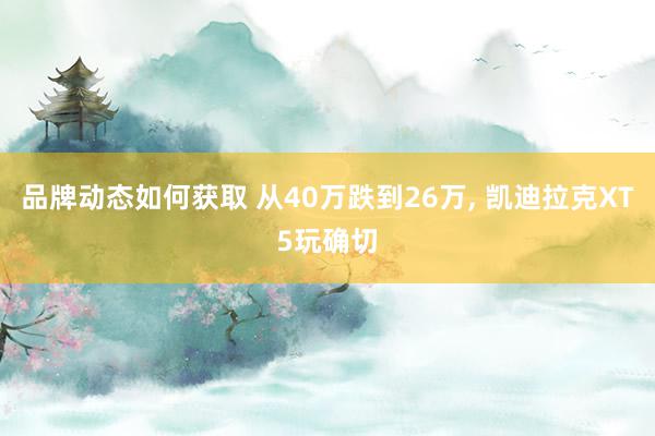 品牌动态如何获取 从40万跌到26万, 凯迪拉克XT5玩确切