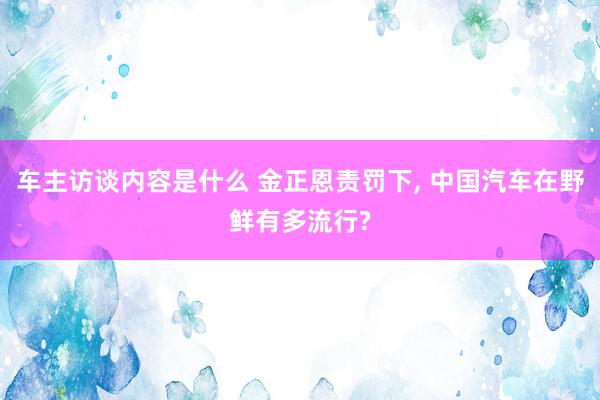 车主访谈内容是什么 金正恩责罚下, 中国汽车在野鲜有多流行?