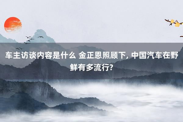 车主访谈内容是什么 金正恩照顾下, 中国汽车在野鲜有多流行?