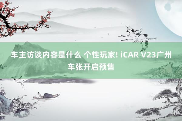 车主访谈内容是什么 个性玩家! iCAR V23广州车张开启预售