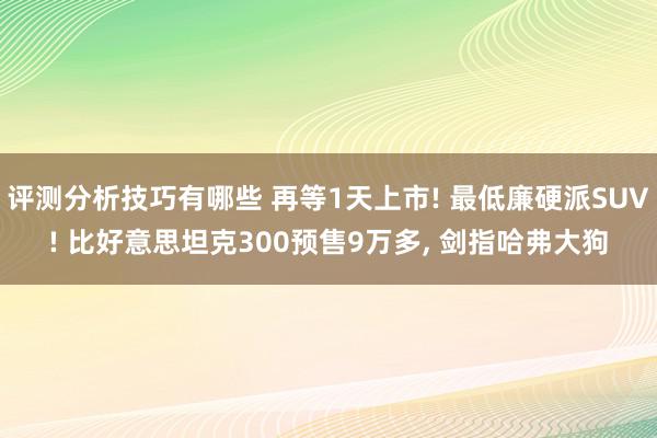 评测分析技巧有哪些 再等1天上市! 最低廉硬派SUV! 比好意思坦克300预售9万多, 剑指哈弗大狗